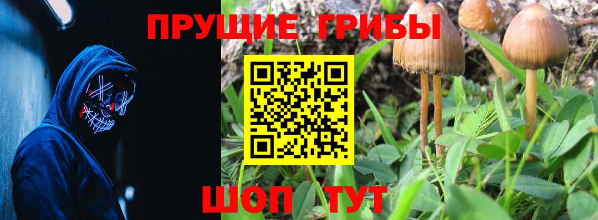 Галлюциногенные грибы Magic Shrooms Кыштым